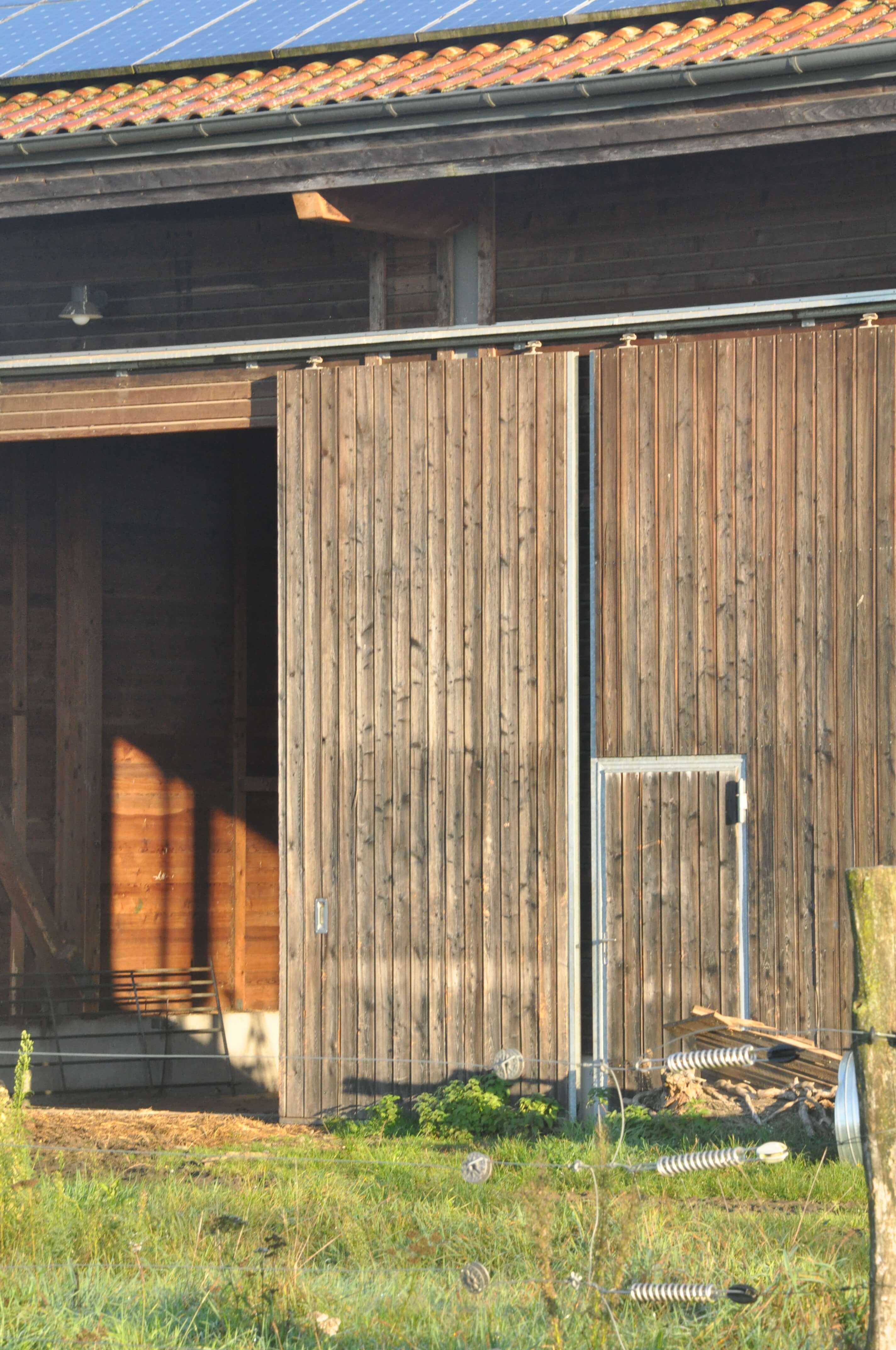 DSC_2555.JPG