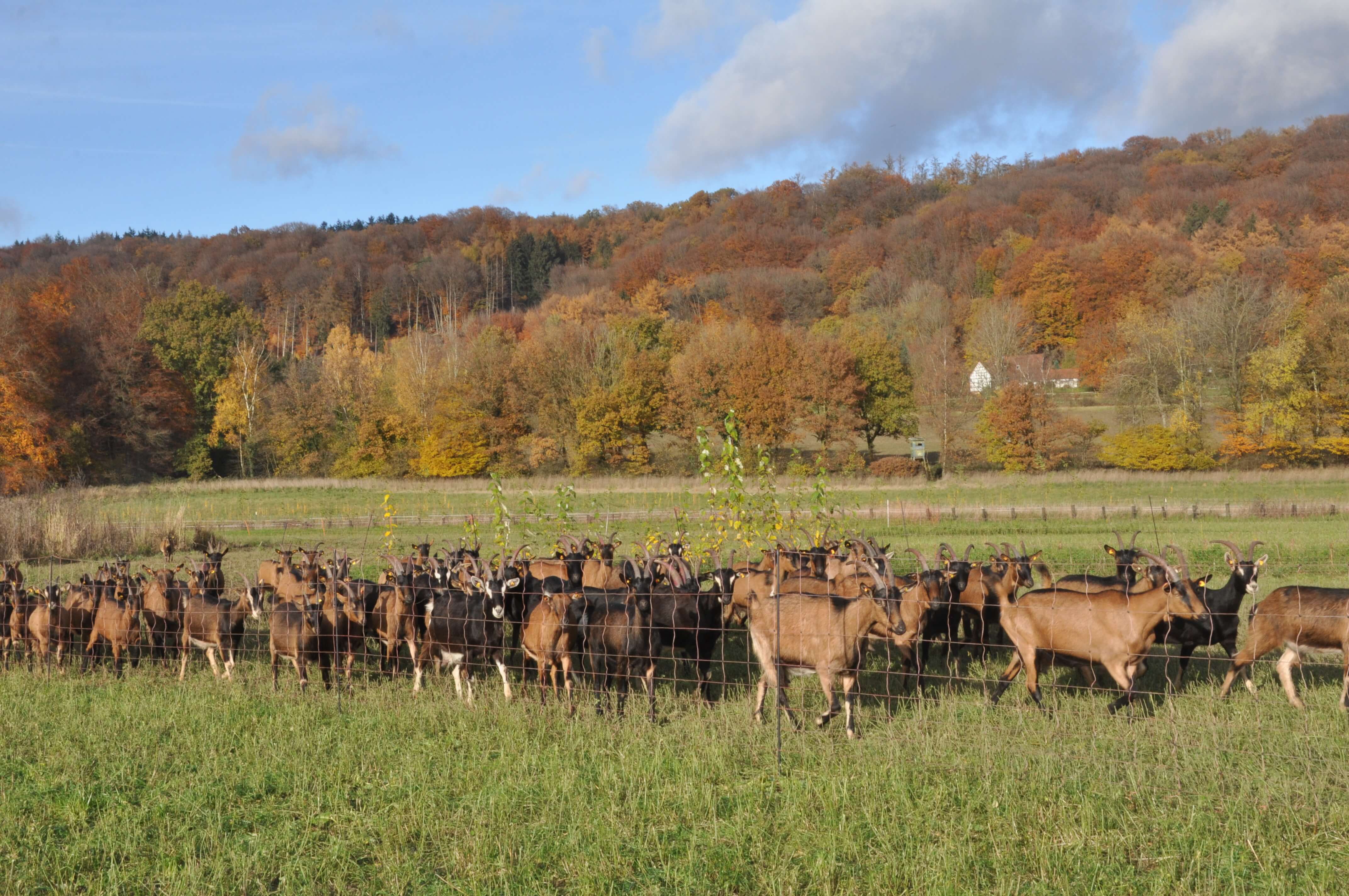 DSC_2591.JPG