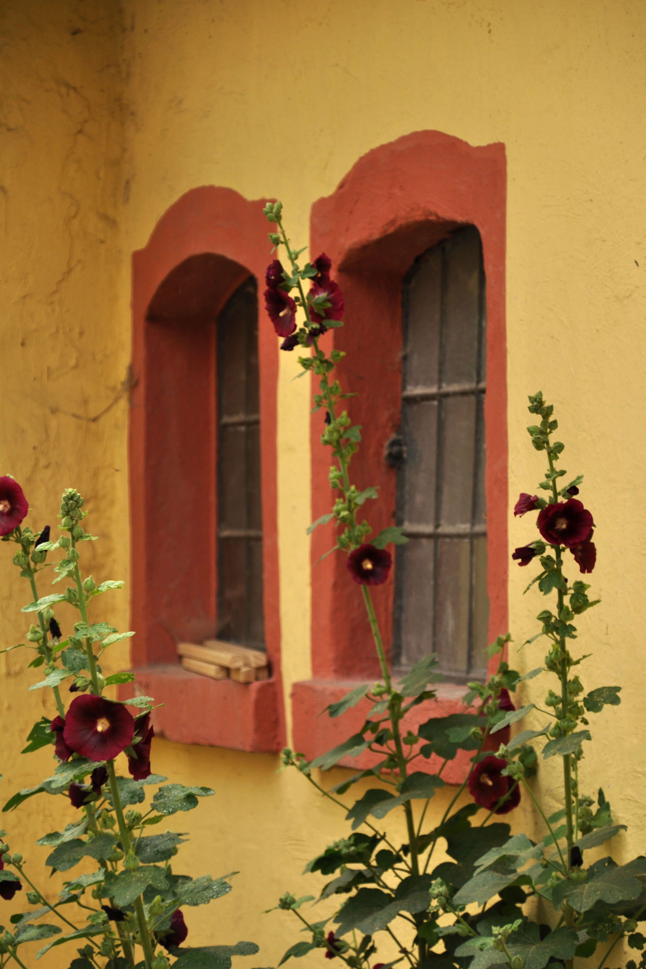 dsc_0287.jpg